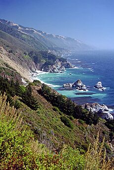 Big Sur portrait