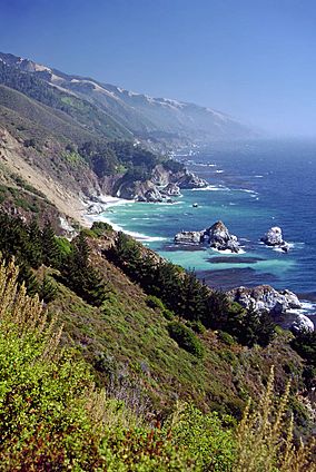 Big Sur portrait.jpg