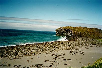 Bogoslof Island fur seal colony