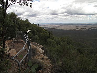 Caloma lookout January 2016.2.JPG