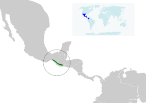 Campylopterus rufus map.svg