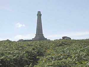 Carn Brea Basset Cross