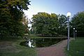 Commonwealth Park in Canberra (2)