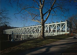 Falls Bridge (cropped)