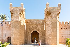 Gate of Chellah, 2019