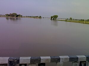 Ghaggar river