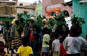 Harar Dance