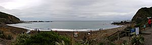 Houghton Bay Panorama