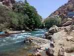 Karaj river - Iran.jpg