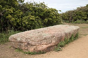 La Table des Marthes Jersey