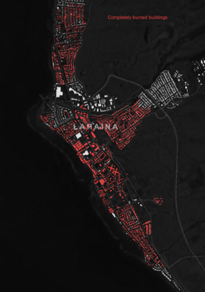 Lahaina damage-map