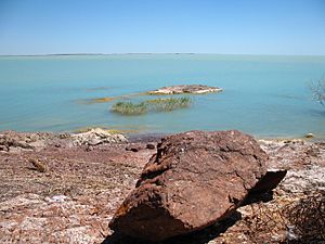 Lake Balkhash May 2007 1