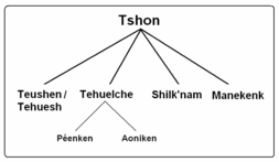 Lenguas tshon-Lehmann-Nitsche