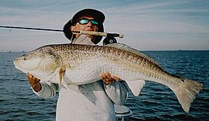 Louisiana Redfish