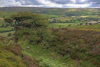 Maiden Castle - geograph.org.uk - 892217.jpg