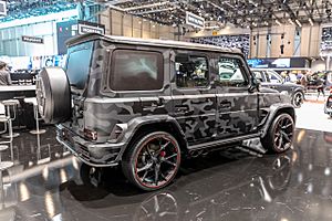 Mansory, GIMS 2019, Le Grand-Saconnex (GIMS0683)