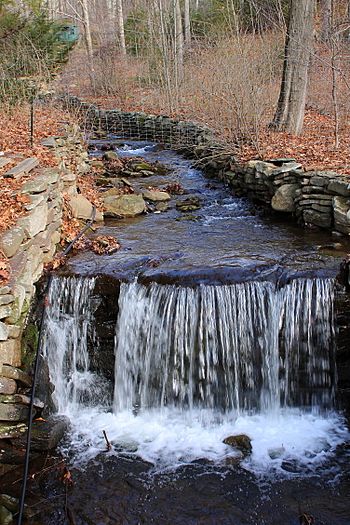 Maple Run looking upstream.JPG