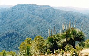 Mount Allyn from Cabrebald