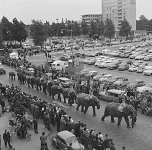 Optocht circus Williams door Rotterdam Olifantenoptocht, Bestanddeelnr 912-5598