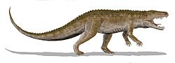 Ornithosuchus BW.jpg