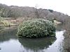 Otterford Lakes Nature Reserve.jpg