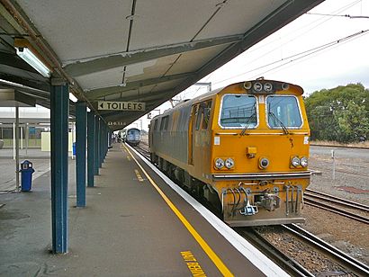 Palmerston North railway station platform.JPG