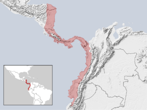 Proechimys semispinosus distribution (gray).png