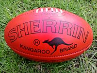 Sherrin footy