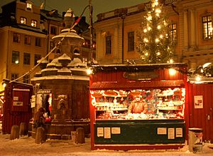 Stortorgsbrunnen 2009