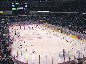 Teddy Bear Toss