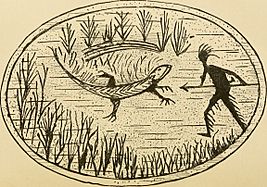 The Algonquin legends of New England - or, Myths and folk lore of the Micmac, Passamaquoddy, and Penobscot tribes (1884) (14577440799)