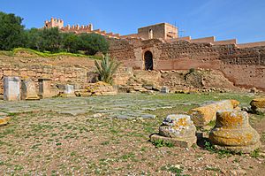 View of the Forum with bases of honorary inscriptions dedicated to the emperors and the great magistrates of the city, Sala Colonia (32143204794)