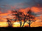 West Texas Sunrise