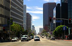 Wilshire Boulevard in Brentwood