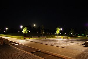 Wilsonville park night