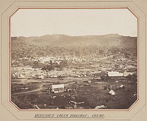 Woolshed Creek Diggings. Ovens. (8416665404)