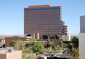 Abq Petroleum Bldg.jpg