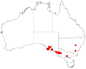 Acacia enterocarpaDistMap325.png