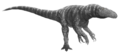 Afrovenator reconstruction