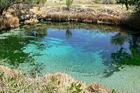 Ash Meadows Crystal Spring 1.jpg