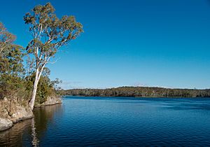 Barossa reservoir - landscape.jpg