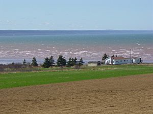 BayofFundy