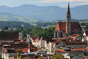 View over the Old Town with city hall and parish church