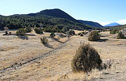 Brodhead, Colorado