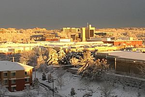 Burlington Business District