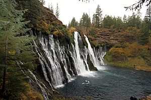 Burney Falls (6489840799)