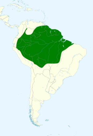 Campephilus rubricollis map.svg