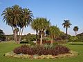 Centennial Park Sydney 3