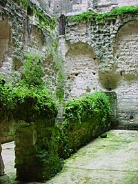 ChristianBauer Chateau de Loches dungeon