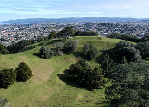 Crater One Tree Hill